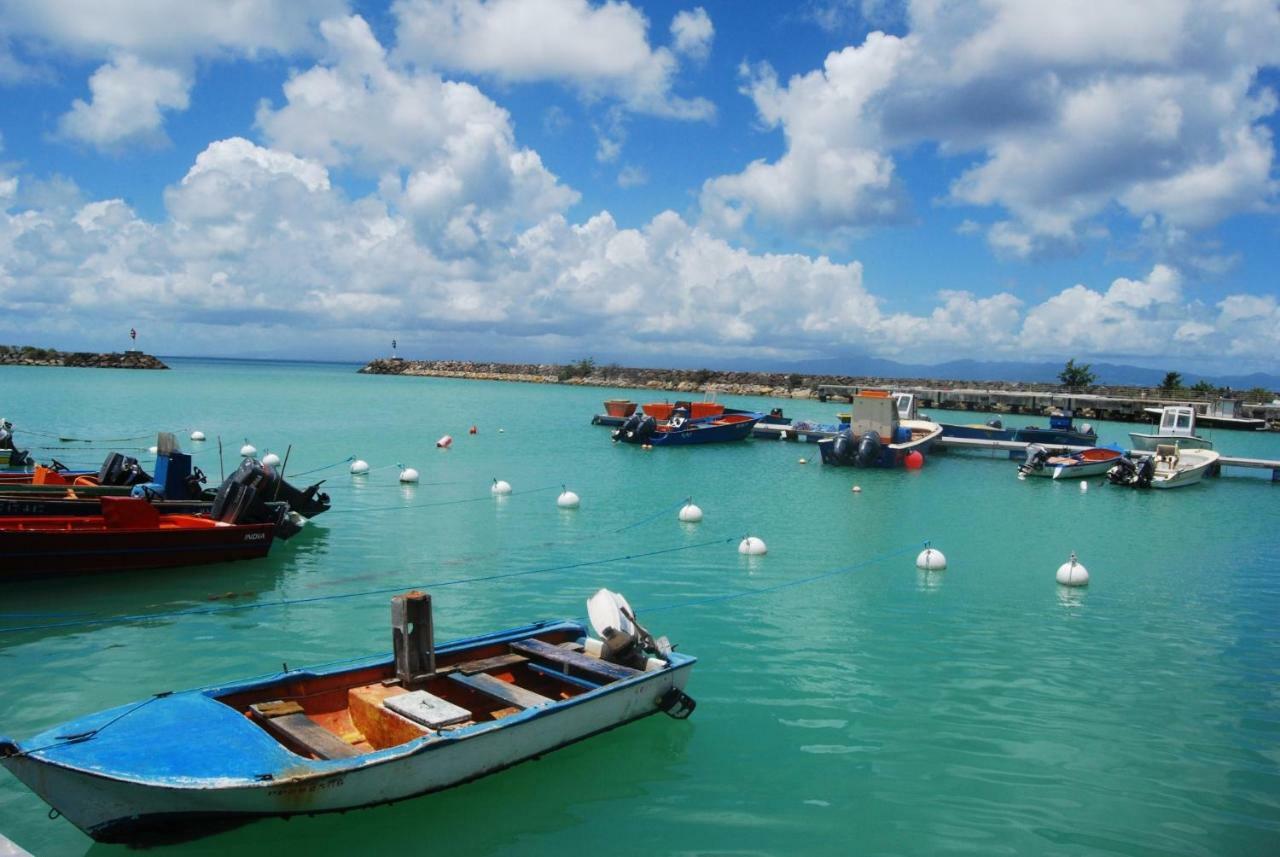 Gite Poz Kreyol Port-Louis Exterior photo